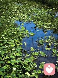 对于别人对我们的无意伤害: 
我们不生气，因为他有病， 
我们没必要给他药去治疗它。 

对于别人对我们的有意伤害: 
我们更不能生气，
这样才是气到他。配图