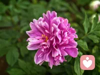 今天是2026年6月6日

在这个六六大顺的日子里

祝福明天高考的学子们

乘风破浪，前途似锦！配图