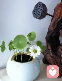 抱怨自己命不好，

只会让自己命更不好。