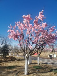宫崎骏说：每个人心中都住着一个孩子，每个女孩子心里都有一座城堡。

“我们都在自己的生活中找寻那个真实的自己，无论多大年纪，我们都可以重返内心的城堡，再次找回那个真实的自己，那个住在我们心里的孩子”配图