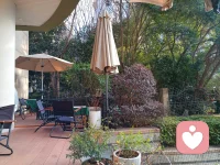 2026年3月7日的下午

我在咖啡厅的台阶上
静坐
空气
调和着久违的暖阳和风
将我在空间的油锅里
烹饪

我凝视着对面的小树林
几颗老树
幽静的摇摆着几丛枝条
无语
轻轻闭眼
眼帘和脑海浮现出了梵高星空杏花
还有簇簇向日葵

咖啡凉了
协奏淡幕了
我看到
时间透过绿茵的
浅笑配图