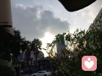 台阶之上

如果是下午
有阳光 微风 小树林
我一定邀请梵高
到这个咖啡小店
喝一杯

将星空 向日葵 杏花 鸢尾
浓缩成
手工萃取的
东方浓缩

门票需要吗
贵宾通道需要吗
特别标识需要吗

梵高说
花植簇拥的台阶之上
是色彩绚丽的
专场配图