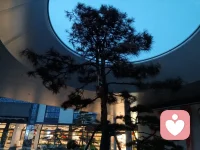 无论风霜雨雪，生命向阳而生！配图