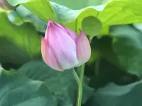 每个人都肯定有自己的闪光点，茫茫人海中，总会遇到和你聊得来，欣赏你的人。配图