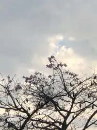 与世界温柔相待！