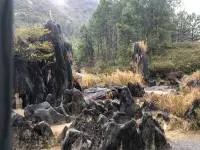 我们无法改变过去，但可以改变过去对现在的影响。爱自己，是生命最根本的法则！