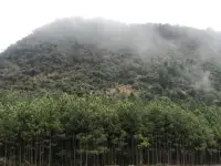 成长不是成为别人，而是回归真实的自己。你的存在本身就是价值，无需证明。