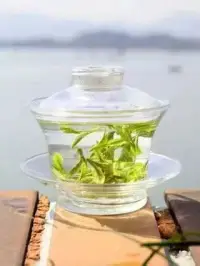 在人与人之间的交流中，最重要的莫过于对情感的表达！在对自己和他人交往模式的建构和重建中，最重要的信息莫过于一个人对另一个人的感受…………配图