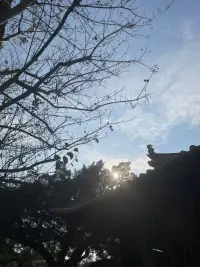 無(wú)愿無(wú)求-生機(jī)不在，?一片荒蕪；
有愿有求-陷入執(zhí)念，求不得苦；
有愿無(wú)求-自性本來(lái)，光明自在。配圖