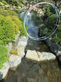 生活就是，自己哄自己，把自己哄明白了，什么都解决了，好好工作，好好生活，好好爱自己，把期待降低，把依赖减少，你会过得更好。配图