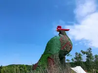 气，是因为你不够大度。嫉妒，是因为你不够优秀。悲伤，是因为你不够坚强。你在意什么，就会被什么折磨#读书配图