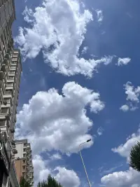 一個(gè)真正強(qiáng)大的人，不會(huì)把太多心思花在取悅和親附別人上面。最重要的是提高自己的內(nèi)功。只有自己修煉好了，才會(huì)有別人來親附。自己是梧桐，鳳凰才會(huì)來?xiàng)?；自己是大海，百川才?huì)來歸。
