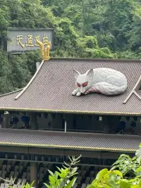 找自己的優點，長處，做好自己，不要放棄自己，勇往直前。配圖