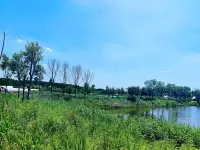 人生一辈子，只要你一直前行，你就会看到更多更美的风景，不要碰到压力就把自己变得不堪重负，黯淡无光。成功的人懂得熬，失败的人懂得逃，卓越的人懂得迎风前行并思考！其实放弃和坚持就在一瞬间，扛住了，世界就是你的。