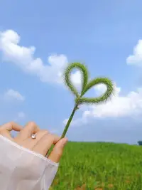 下一站九月。是希望，是开始，是咎往不纠，放下不属于自己的东西，打开自己的枷锁。健康和快乐才是最重要的，愿你愿我越来越好……配图