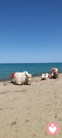 生活或许没你期待的那样好，但也不全是你以为的那样坏
落落大方，好好生活，看远处是风景，看近处是人生
只言温暖，不谈悲伤#感情共鸣 。配图