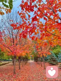 這個假期都玩嗨了吧……