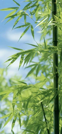 贊美的話可以脫口而出，質疑的話千萬三思而后行。配圖