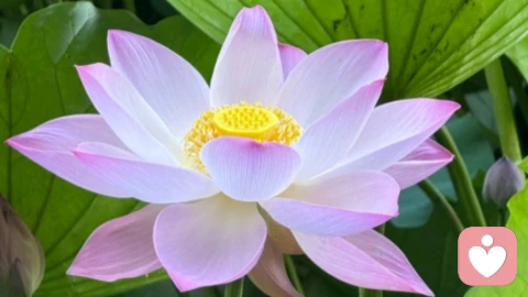 如何度过新婚磨合期