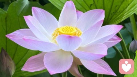 感性