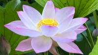 感性