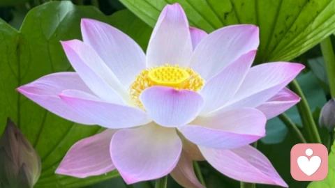 如何當(dāng)下渣人