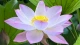教师节