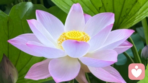 如何减少离婚的概率