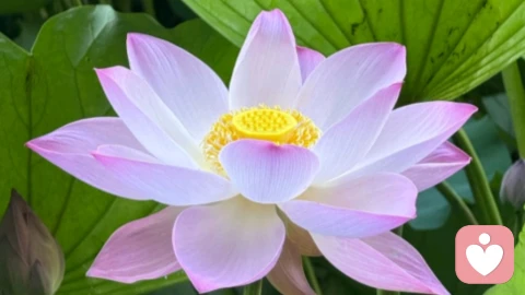 如何应对职场霸凌