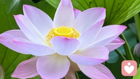 母亲应对孩子成长带来的焦虑