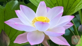 用高度思维解决现实问题