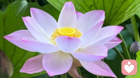 应对选择困难症