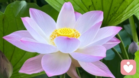 如何应对不受欢迎