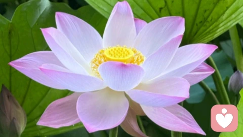 应对父亲陋习对成年自己的影响