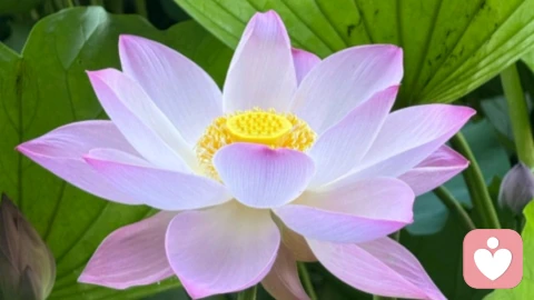 应对暴力倾向男友