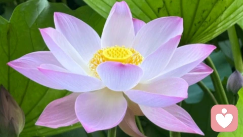 如何应对男友频繁要钱