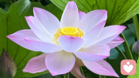 避免复刻父母的不健康关系