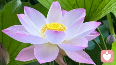 感觉生活没有意义