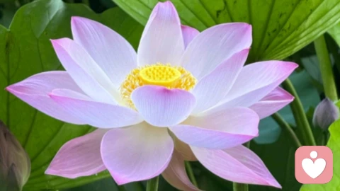 婚姻的三重境界