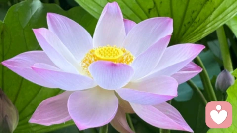 应对两地分居的脱离感