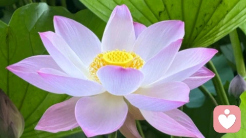 孩子的成长节点