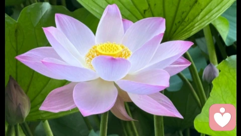 强迫成因及应对