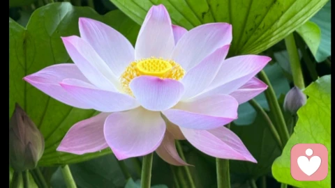 欲望是谁的欲望