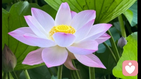 欲望永远不被满足