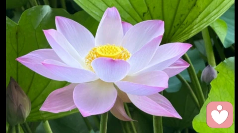 离婚后心理重建