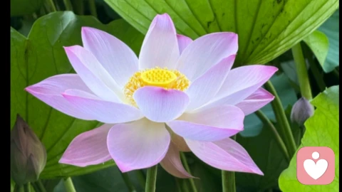 如何判断喜欢一个人