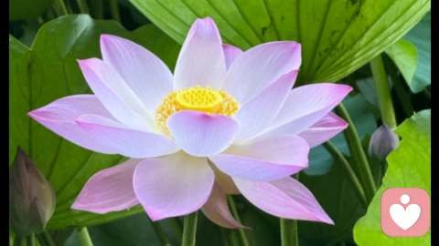 正念改善焦虑