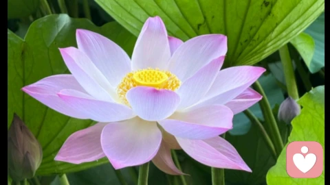 自我关怀