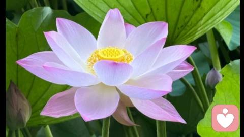 喜新厌旧