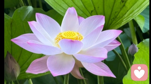 拥有正能量